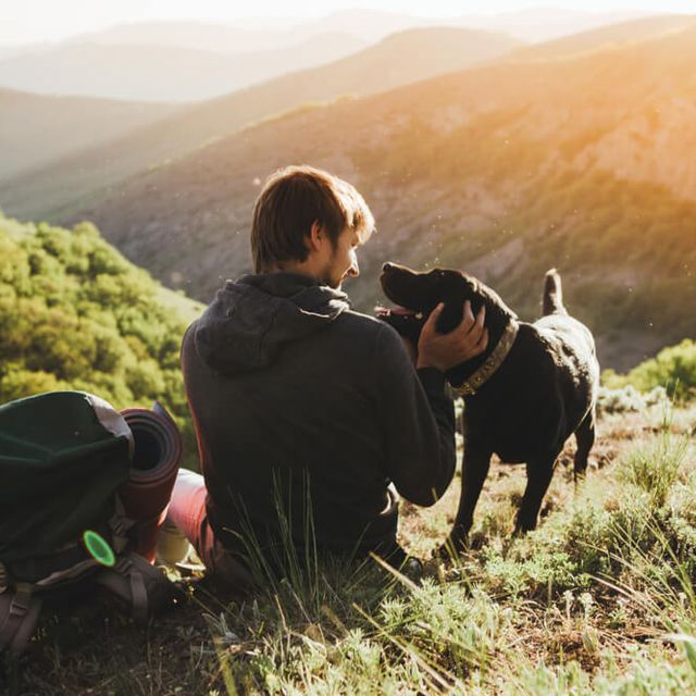 Mit dem Hund in den Urlaub